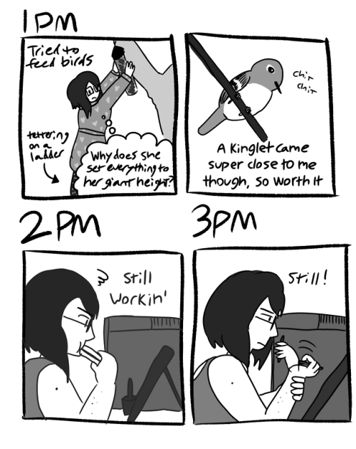 My hourly comics for this year, crossposted from twitter. A boring day this year but hey, I got it d