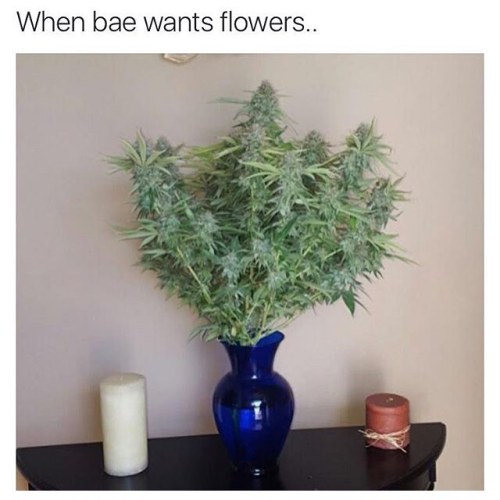 supahighposts:  Tag your bae