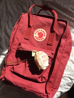 glitter-glow:  two of my favourite things: my kånken and flowers 🎒🌹