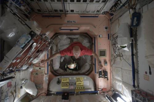 Sunday is a day off on the ISS.  Luca spends his chasing macadamia nuts (Source)