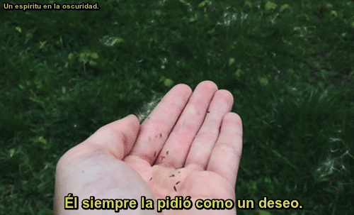 Un espíritu en la oscuridad.