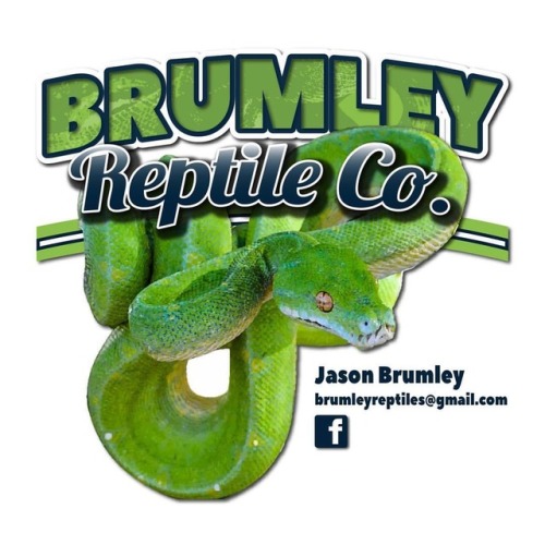 Logo I made for Jason Brumley  #reptilebreeder #snakebreeder #pythonbreeder #morelia #moreliabreeder