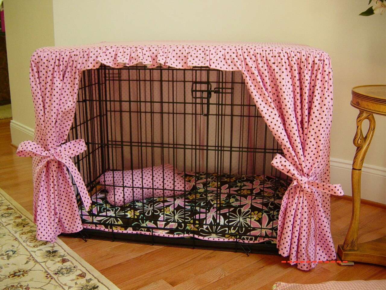 devotedlittepet:  💕