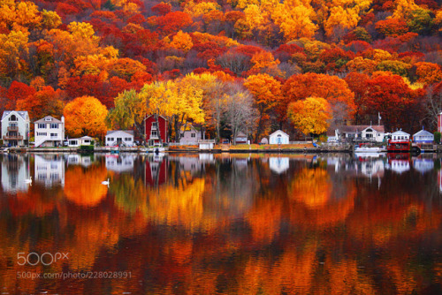 giferen:Autumn Reflections by JasonHagani