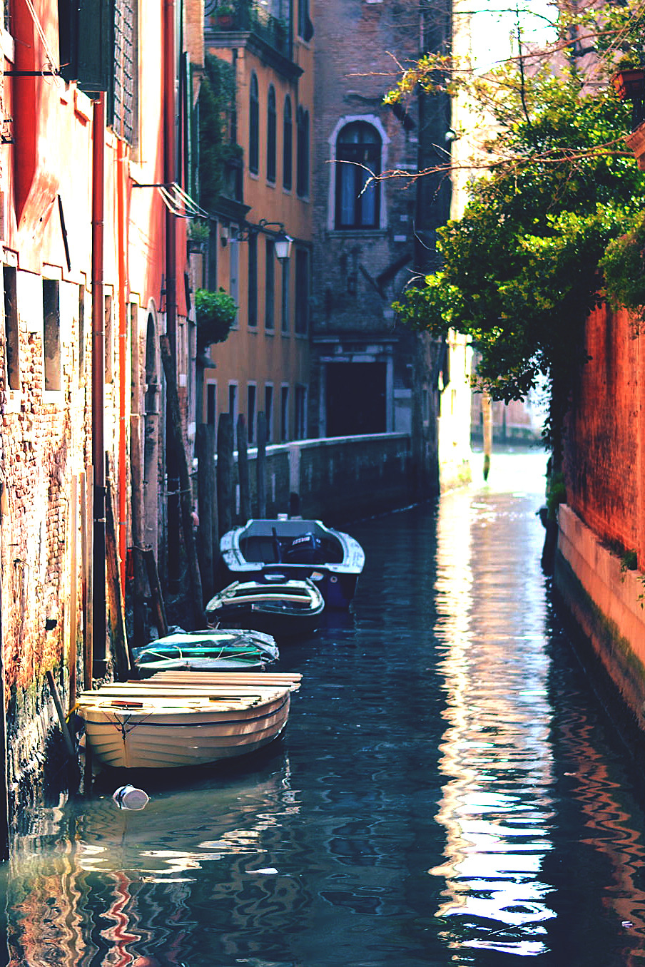 obscvred:  Source | Photographer