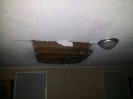shurtbalswasherefirst:  dickbuttofficial:  dickbuttofficial:  the hanging from the ceiling sticky on /g/ right now is amazing    he broke his ceiling          
