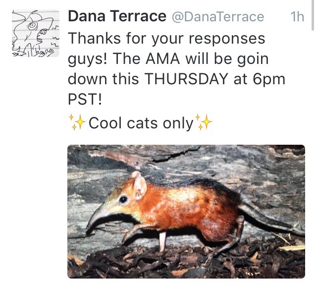 danaterrace:  fuckyeahgravityfalls:  Animator, storyboard artist and revisionist,