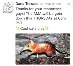 danaterrace:  fuckyeahgravityfalls:  Animator, storyboard artist and revisionist, Dana Terrace (@danaterrace), will be doing an AMA this Thursday (July 7, 2016) at 6pm PST on the Gravity Falls subreddit.  Dana has storyboarded on: “Not What He Seems”,