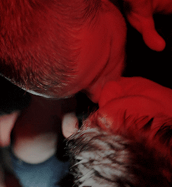 Hanno Koffler & Max Riemelt - Freier Fall