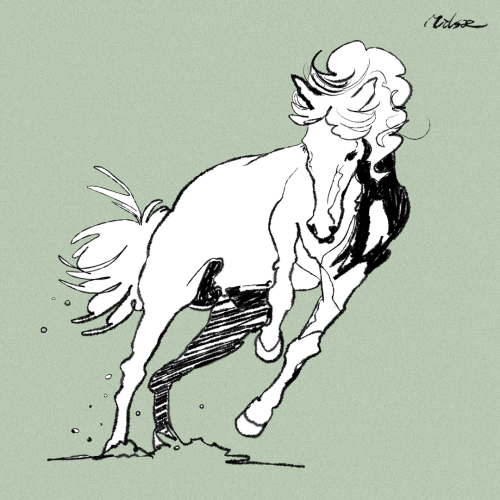 horse croquis