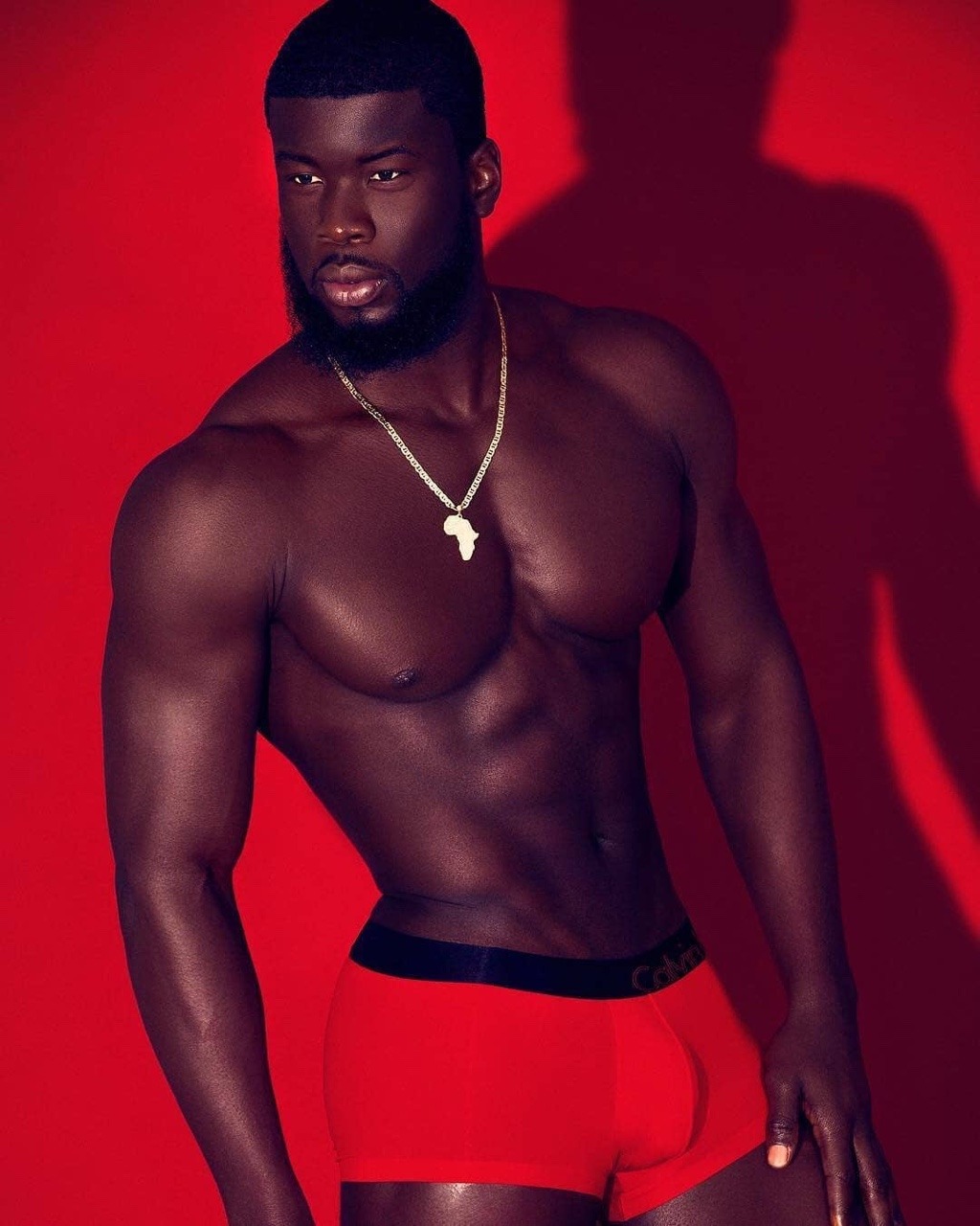 ohthentic:  blacker-the-better:  degeneratexxx:   King of Côte d'Ivoire 🇨🇮