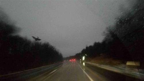 cryptid-quest:Cryptid Photograph #21: RW Jersey Devil PhotographTaken: November, 26th, 2015 Location