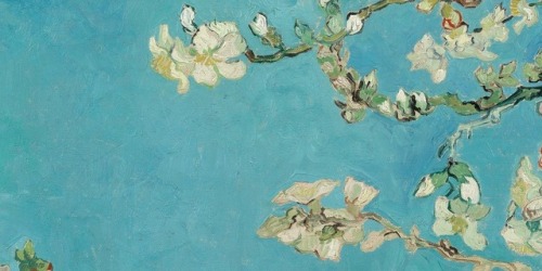 therepublicofletters: Details of Almond Blossoms by Vincent van Gogh, 1890