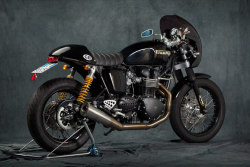 metissethewarg:  Black Triumph Thruxton