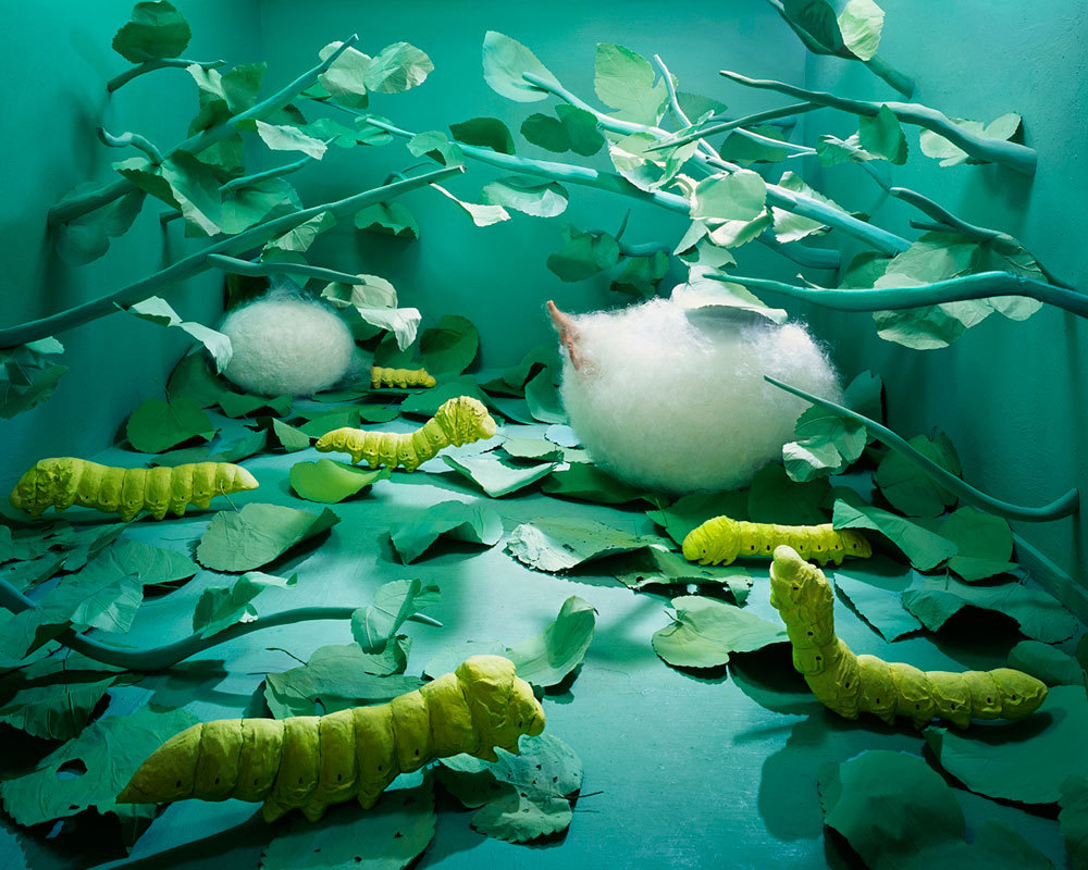 cynshia:  Installations by Jee Young Lee Pt. 1 source 1 / source 2 