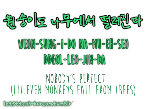 letstteok-korean:*SLANG PHRASE* 원숭이도 나무에서 떨러진다.(weon-sung-i-do na-mu-eh-seo ddel-leo-jin-da)Nobody