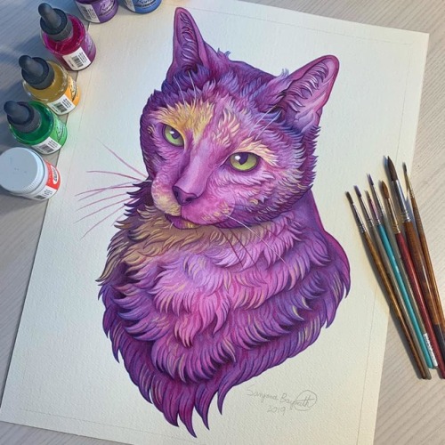 Sophie the cat is done! I’m currently available for pet portrait commissions, or any other custom ar