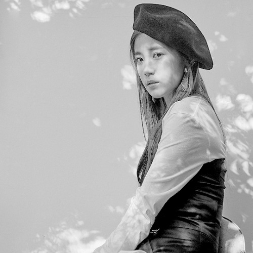zionqt:    Kpop Concepts:Apink  Pink Revolution    