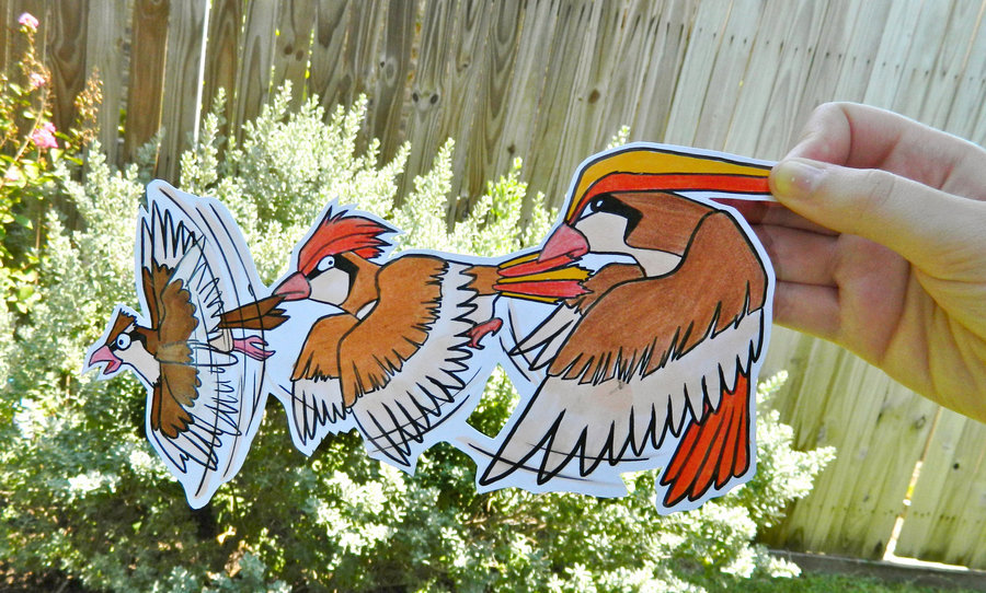 pokemonpalooza:  Pidgy Pidgeotto Pidgeot: PCby ~cobaltdog