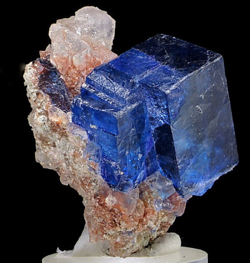 mineralists:  Rare blue Halite on Sylvite from Intrepid Potash East Mine, New Mexico