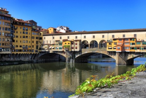 Florence - Italy (by annajewelsphotography)Instagram: annajewels