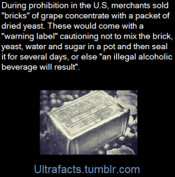 vancity604778kid:  holy-crap-someone-finally:  ultrafacts:  To get around prohibition, people sold bricks of grape concentration that came with a ‘warning’ teaching people how to make wine. (Fact Source) Follow Ultrafacts for more facts     “Yeah,