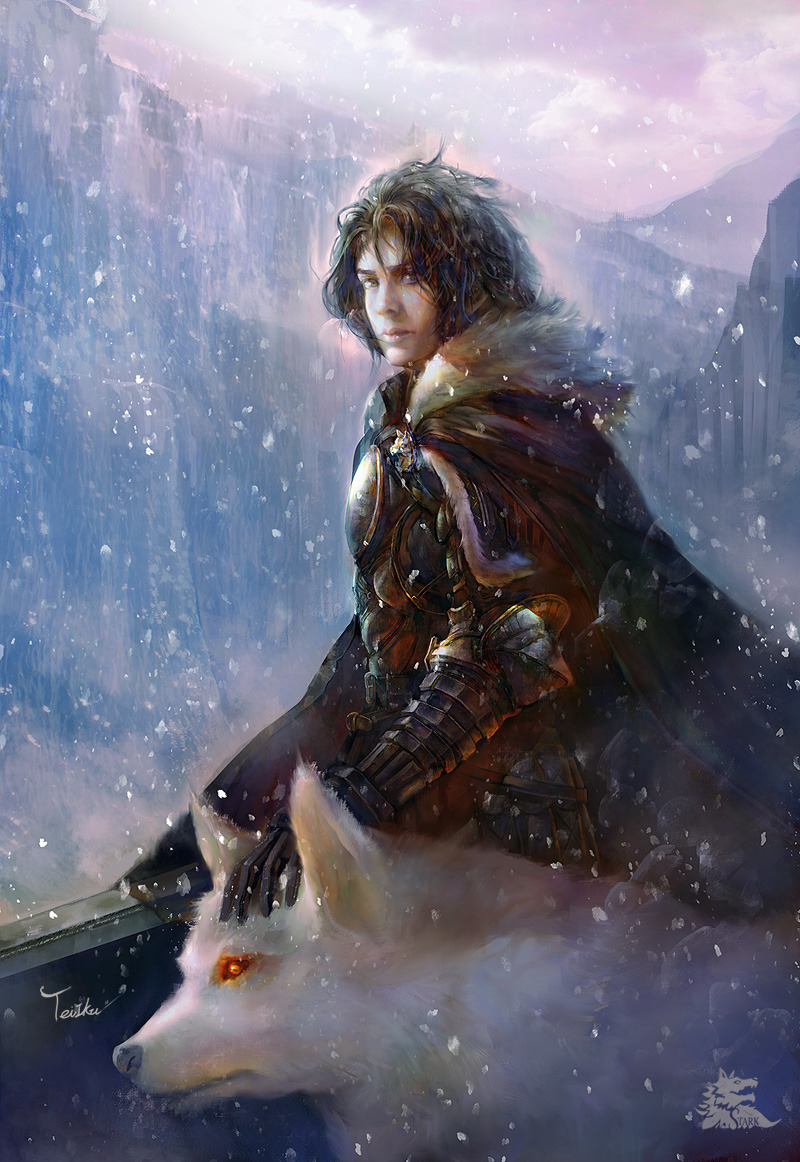 unknowngenre:  A Song of Ice and Fire by Teilku