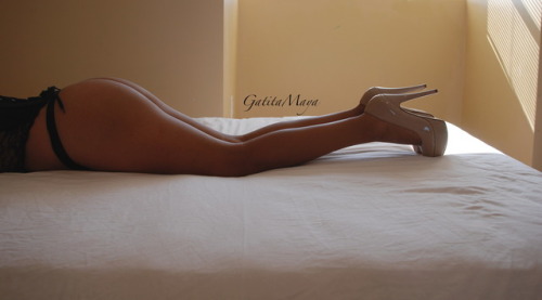 Gatita Maya