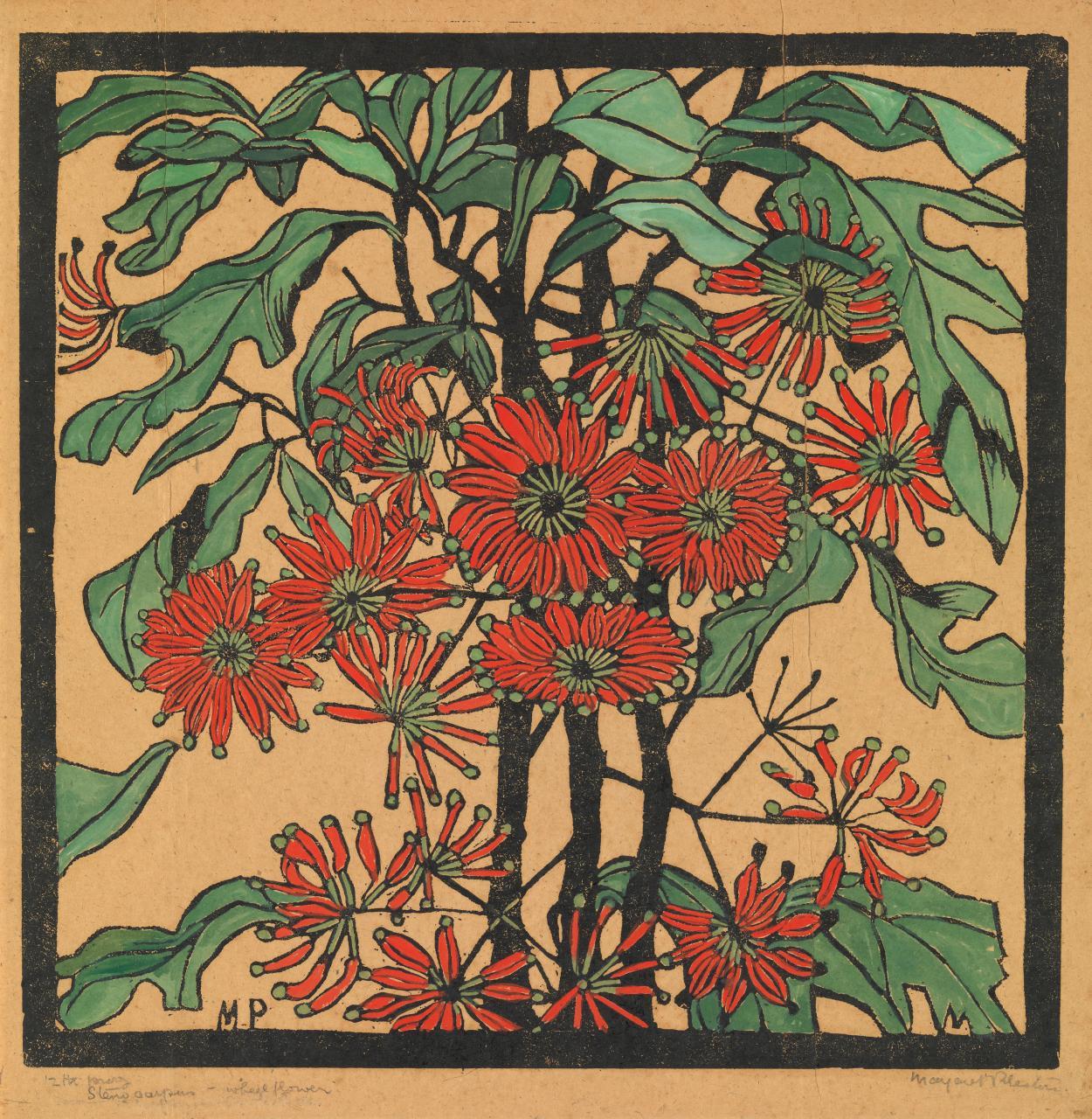 design-is-fine:  Margaret Preston, Wheel Flower – Stenocarpus, 1929. Hand-coloured