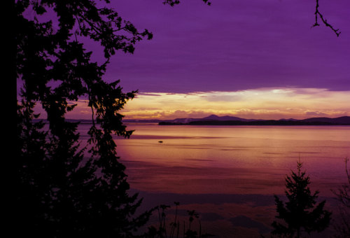 Photography by Visioni ItalianeLocation: Chuckanut Drive, WA, USA Technique: Ektar 100 + 1915 K