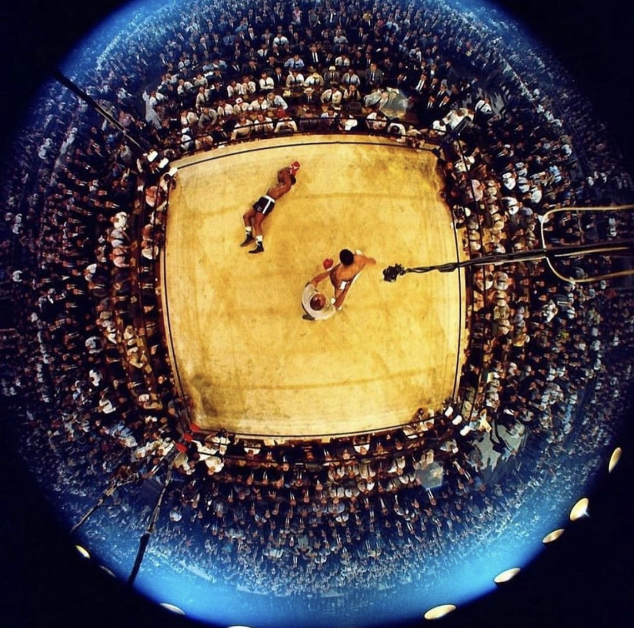 XXX ee7:Over head knockouts from Muhammad Ali photo