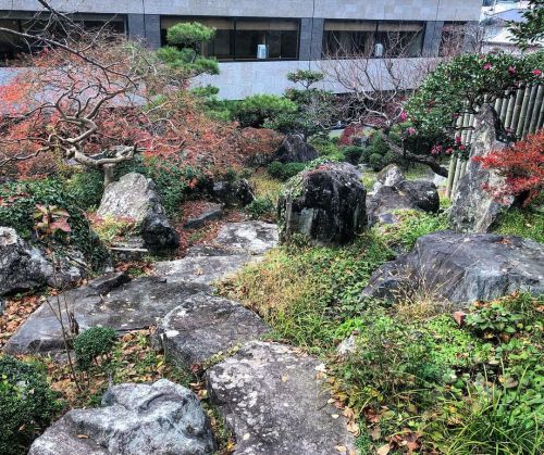 子規の庭 [ 奈良県奈良市 ] ② Tenpyo Club Shiki&rsquo;s Garden, Nara ーー #正岡子規 の子孫は作庭家だった。子規が詠んだ柿の木を中心に、奈良の世界