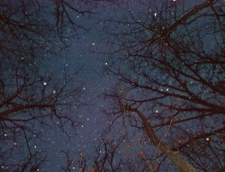 love-me-dearly:  “My thoughts are stars