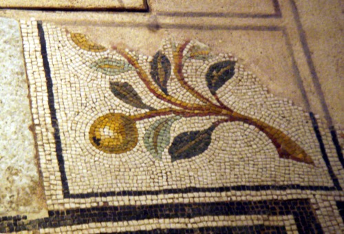 romegreeceart:Mosaic of Domus Ortaglia, BresciaPhoto: By Stefano Bolognini (Own work) [Attribution],