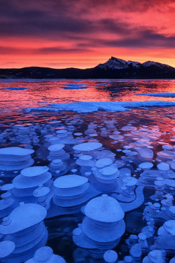 captvinvanity:      Methane iced bubbles | Chris Babida Acaso  