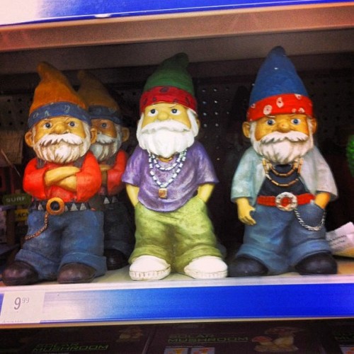 hybridh3r0:#gnomes #thuggery #hood #thundergunning #hashtag #gangster #sayitwithyourchest