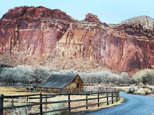 qvashti52:#CapitolReefNationalPark #optoutside #ValentinesDay2019 #Utah #TheMightyFive @nationalpark