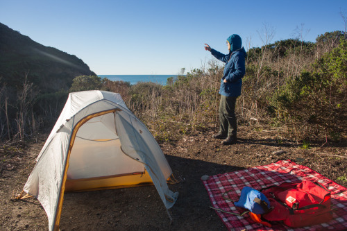 POINT REYES: WILDCAT CAMPGROUNDSimply beautiful! It can be difficult to reserve a spot here on the w