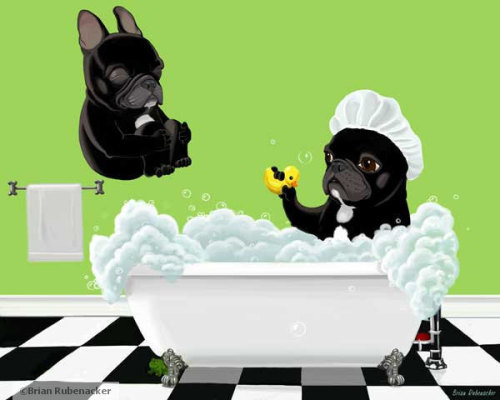 artprintsoflimppimps:  Bath Time - French Bulldog Frenchie Dog Art