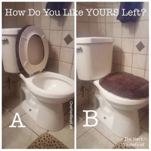 wilder368: I bet most women would ❤ the option with the lid up and seat down. I chose B. Speaking of
