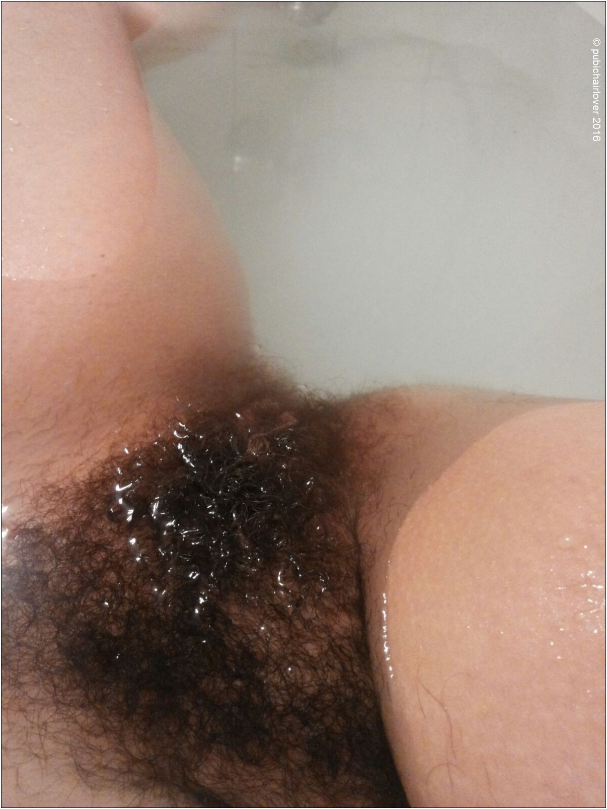 pubichairlover: The Lady of the House, Vol. III Pelo d’Autore n° 4544Tu lavatela&hellip;