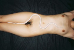 thechill23:  Ren Hang 