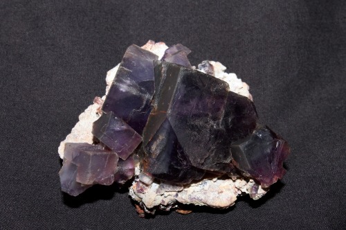 Fluorite from the Ojuela Mine, Mapimi, Durango, Mexico.  Pictured under Long wave ultraviolet a