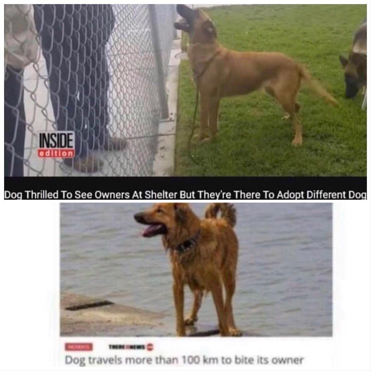 30-minute-memes:  The Plot Thiqqens