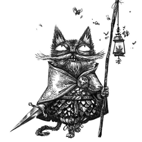 #Dungeonsandkittens#donjonsetchatons@clement_deruyter#cat#characterdesign#illustrationhttps://www.in
