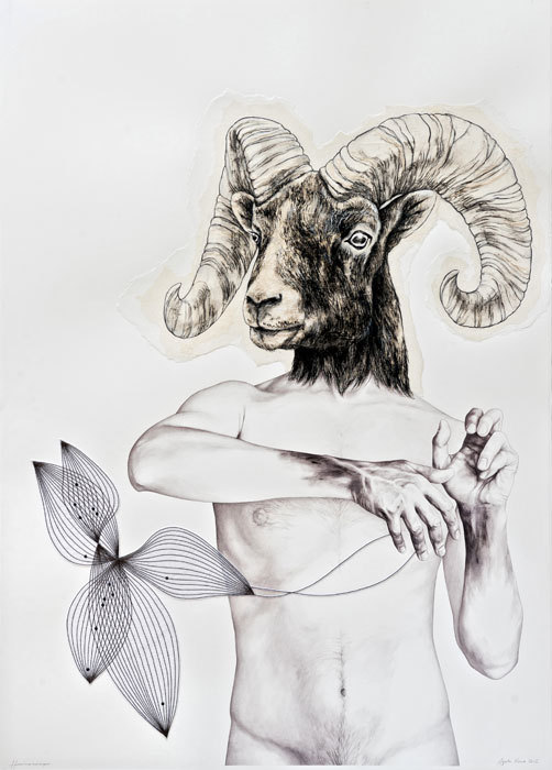 Illustrations by Agata Kawa