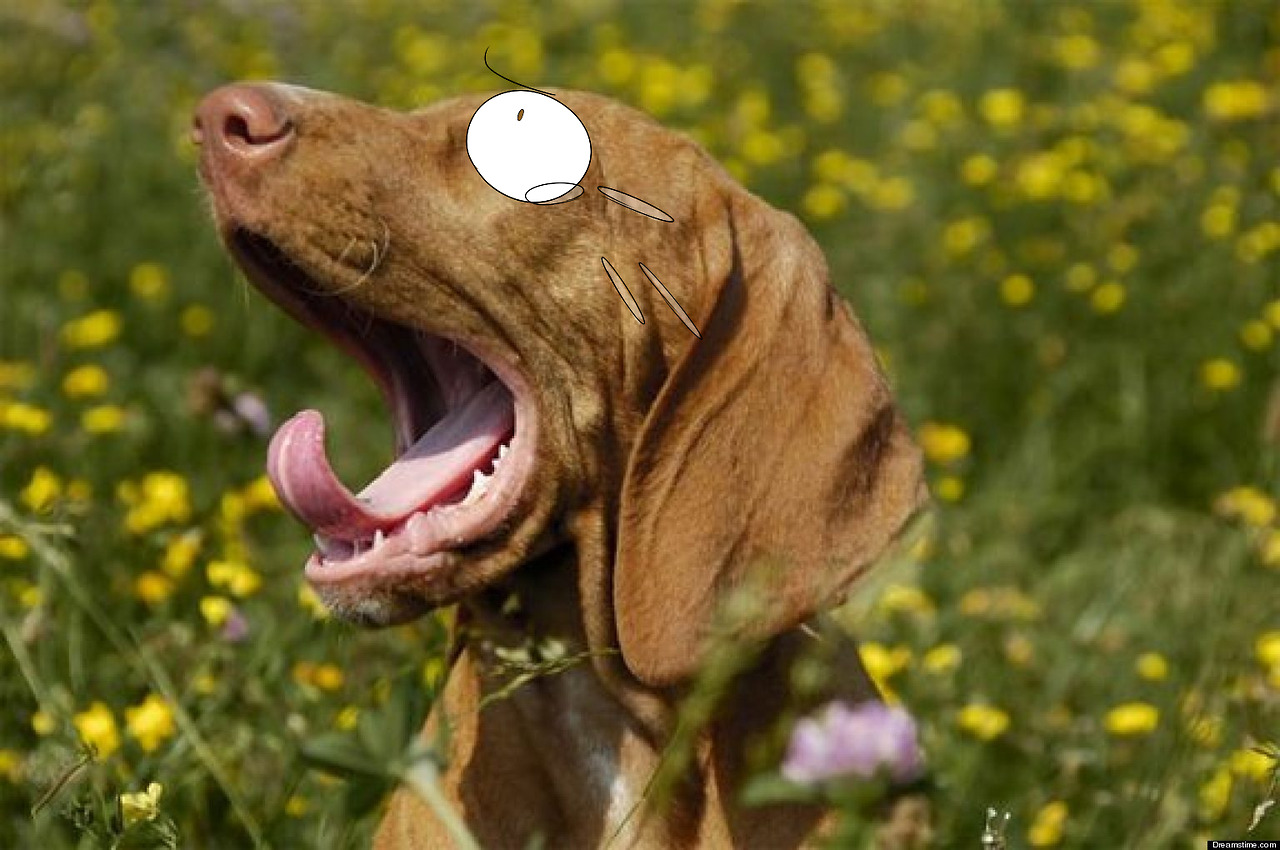input-command:Drawing eyes over yawning dogs. XD!!