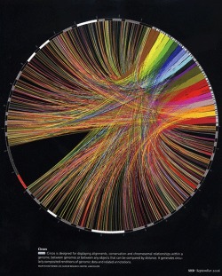 wowgreat:  (via art that inspire / genome infographic from Seed magazine) 