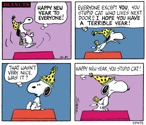 Happy New year, you stupid cat!