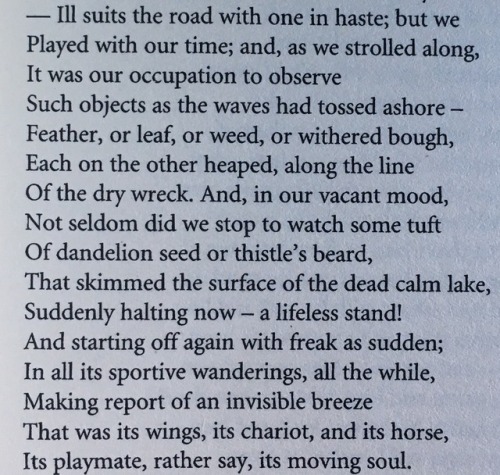 William Wordsworth, A narrow girdle of rough stones and crags